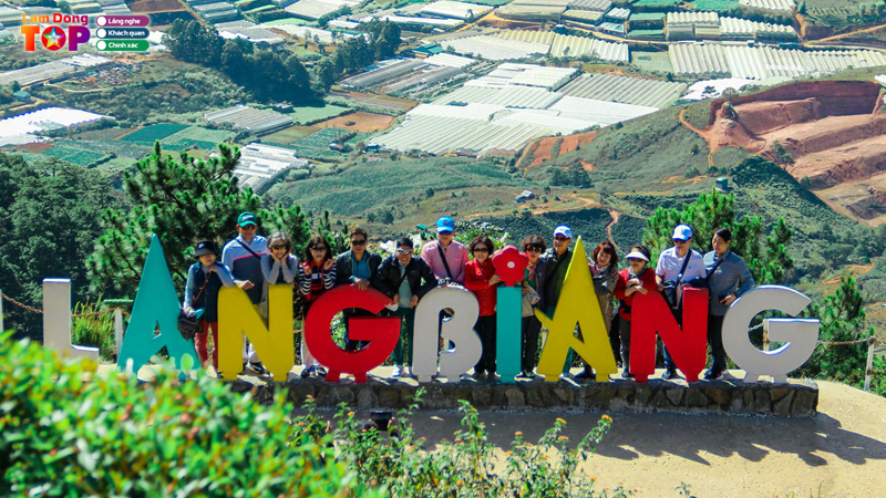 Cong-ty-tnhh-dich-vu-du-lich-thai-tran-5