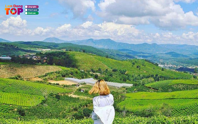 Doi-che-cau-dat-ban-giao-huong-xanh-giua-long-da-lat-2