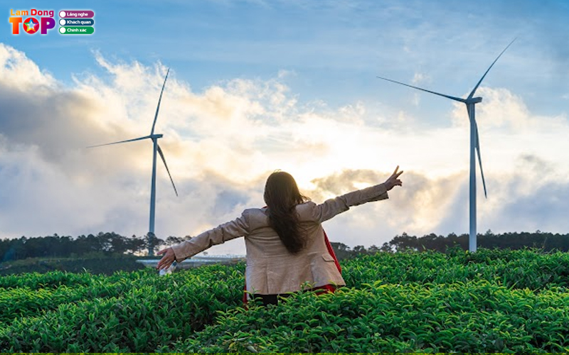 Doi-che-cau-dat-ban-giao-huong-xanh-giua-long-da-lat-4