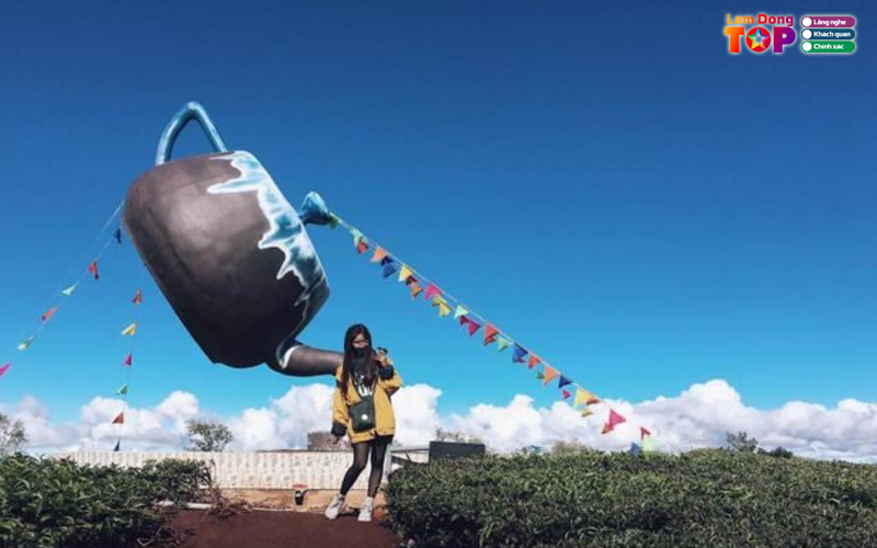 Doi-che-cau-dat-ban-giao-huong-xanh-giua-long-da-lat-7