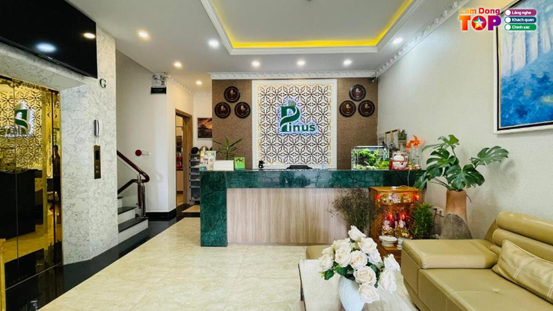 Pinus-hotel-lamdongtoplist