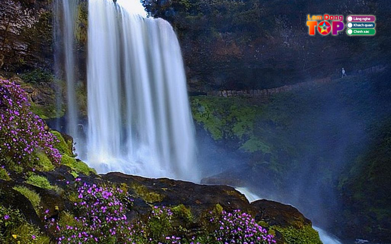 Thac-dambri-bao-loc-2