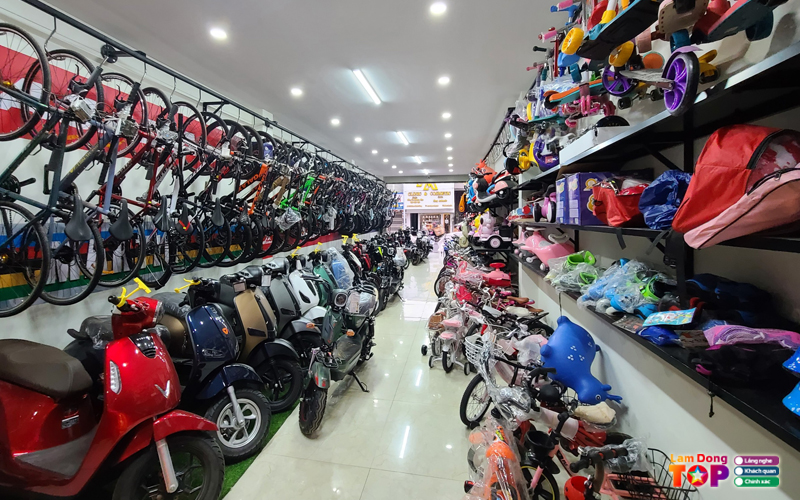 Cua-hang-xe-dien-binh-tam-lamdongtoplist