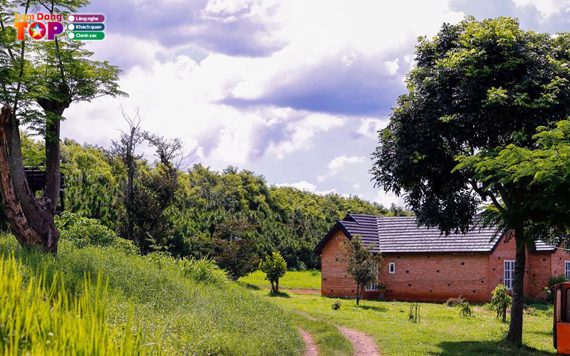 Dalat-milk-farm-lamdongtoplist