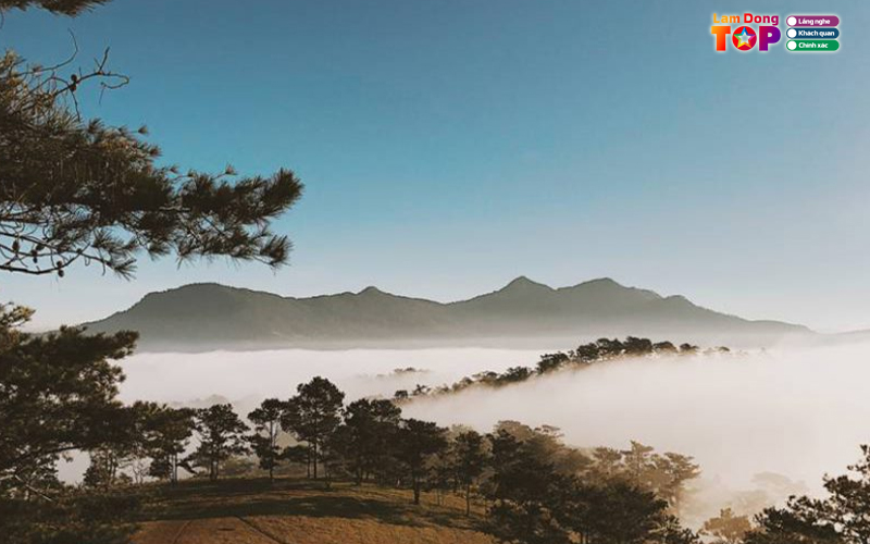 Doi-da-phu-lamdongtoplist
