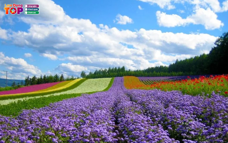 Lang-hoa-van-thanh-da-lat-1