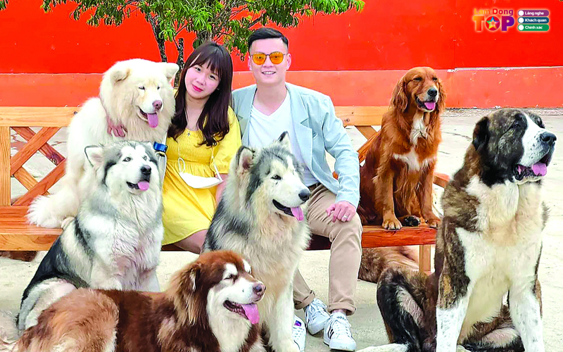 Nong-trai-cun-puppy-farm-lamdongtoplist