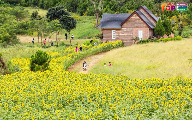 Nong-trai-hoa-huyen-vu-da-lat-lamdongtoplist