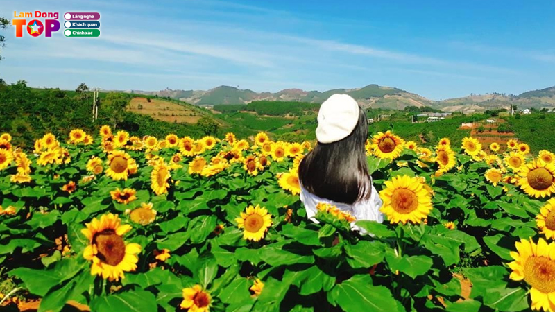 Sunny-farm-da-lat-2