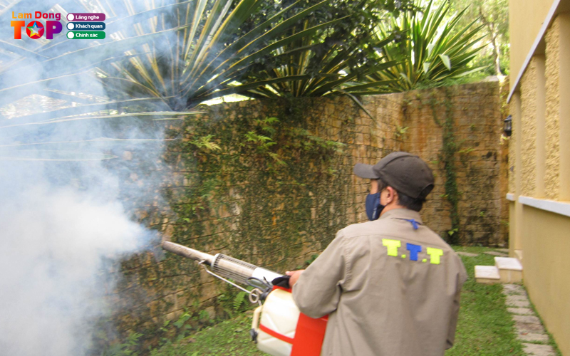 Toan-tin-thinh-pest-control-lamdongtoplist
