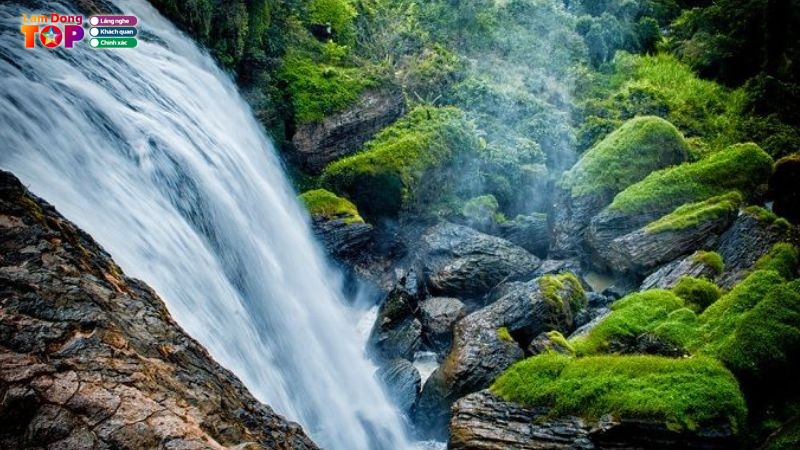 Top-10-bai-hat-hay-ve-lam-dong-cham-den-trai-tim-nguoi-nghe