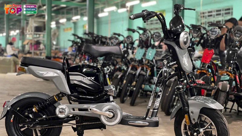 Top-10-cua-hang-xe-dap-dien-o-lam-dong-uy-tin-chinh-hang