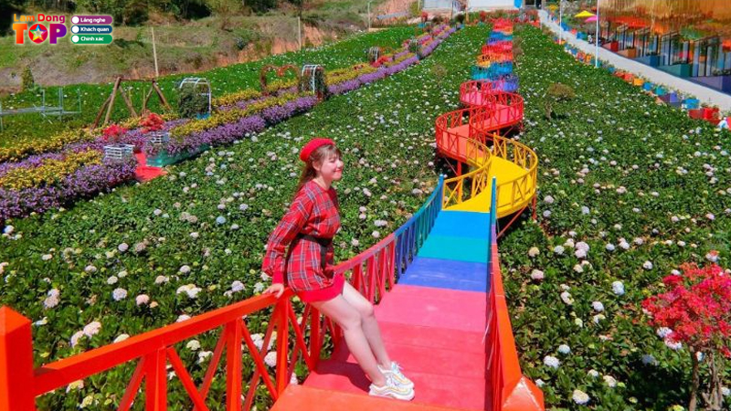 Top-10-dia-diem-du-lich-1-ngay-da-lat-duoc-gioi-tre-check-in-ran-ran