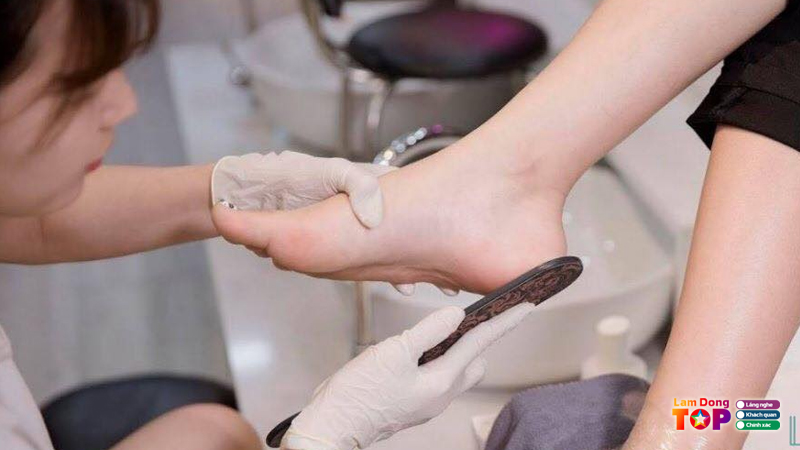 Top-5-dia-chi-cha-got-chan-tai-lam-dong-nhiet-tinh-gia-re