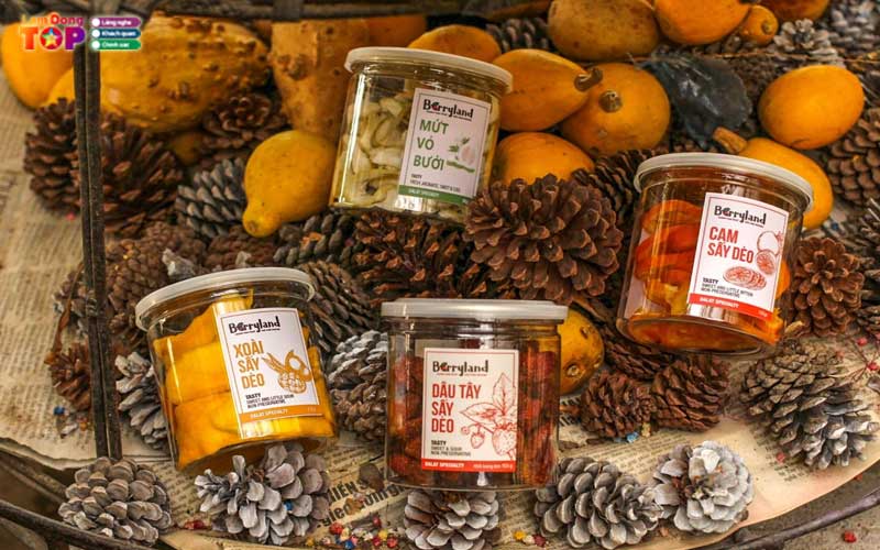 Cong-ty-tnhh-berryland-viet-nam-lamdongtoplist