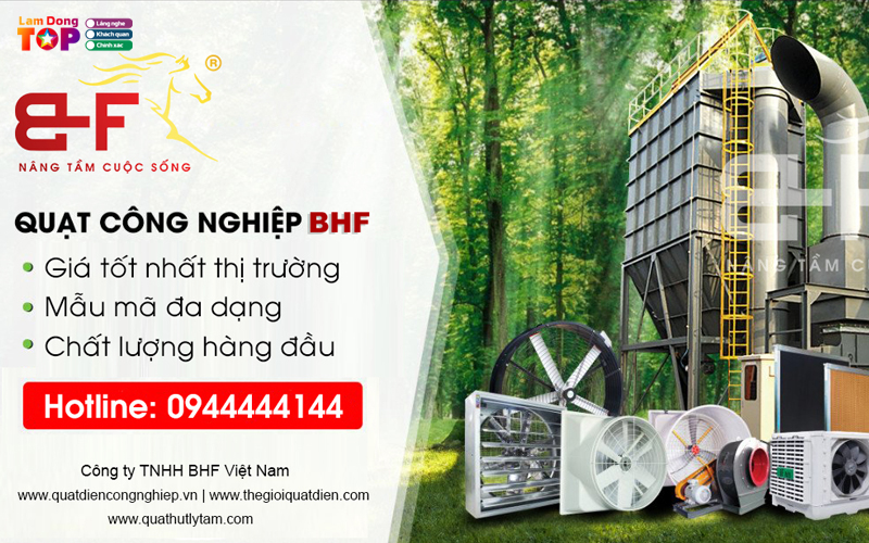 Cong-ty-tnhh-bhf-viet-nam-lamdongtoplist-1