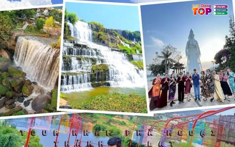 Cong-ty-tnhh-tam-anh-da-lat-ta-travel-lamdongtoplist