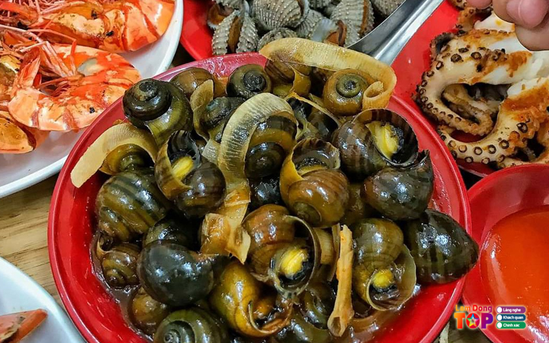 Oc-chao-bao-loc-lamdongtoplist