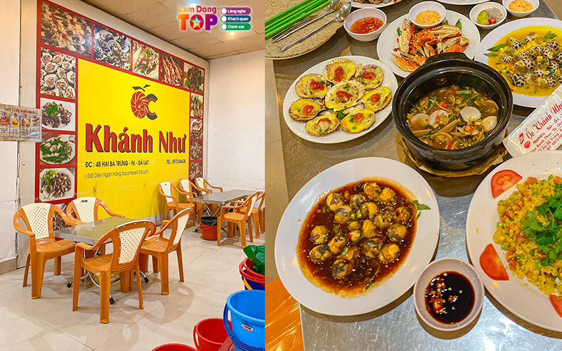 Oc-khanh-nhu-lamdongtoplist