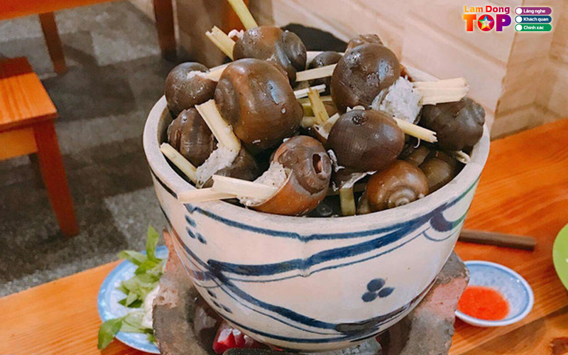 Oc-tam-33-lamdongtoplist