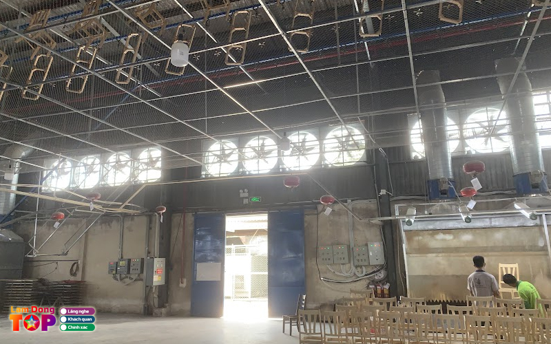 Cong-ty-nextfan-lamdongtoplist