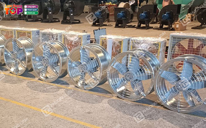 Cong-ty-phuong-linh-lamdongtoplist