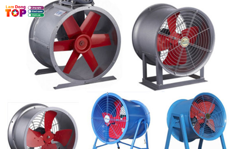 Cong-ty-tnhh-bhf-viet-nam-lamdongtoplist