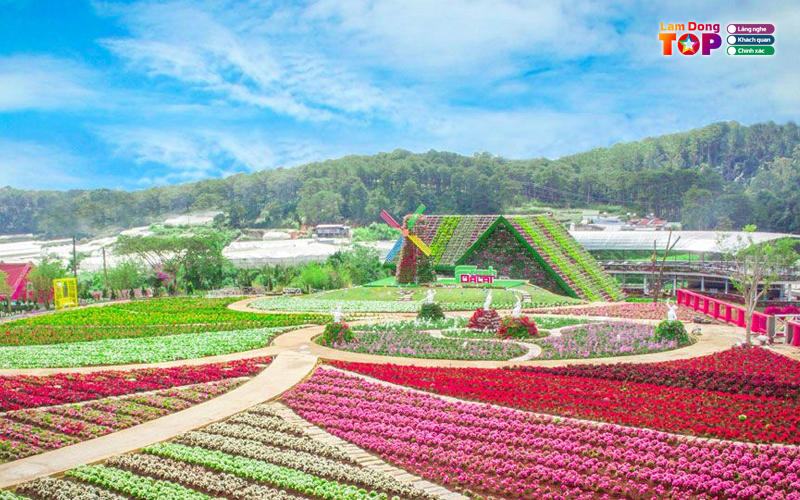 Fresh-garden-da-la-1