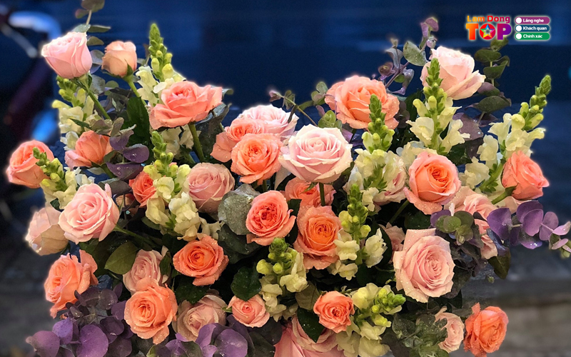 Hoa-tuoi-tam-huy-lamdongtoplist