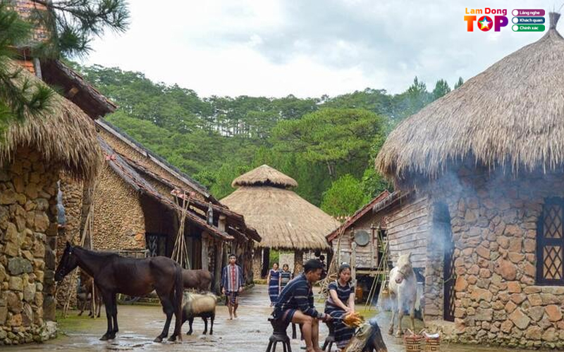 Ngoi-lang-co-lamdongtoplist