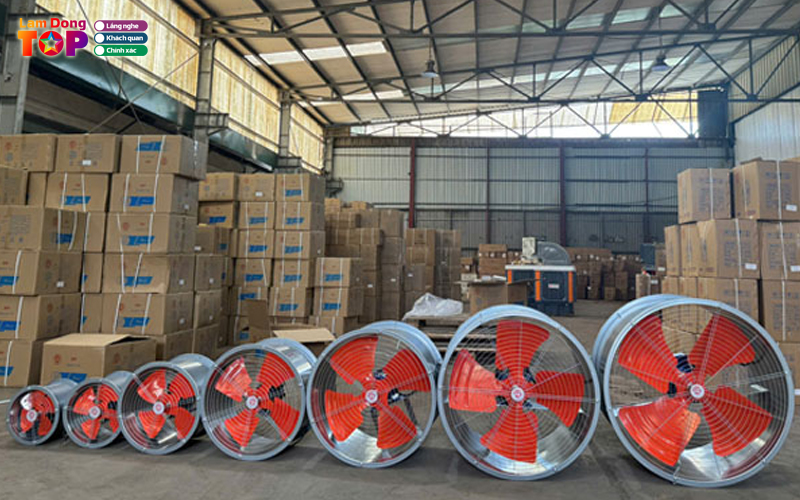 Quat-phu-dat-vuong-lamdongtoplist