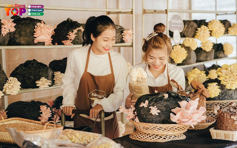 Trai-nghiem-tai-lang-nam-da-lat-diem-den-xanh-giua-pho-hoa-1