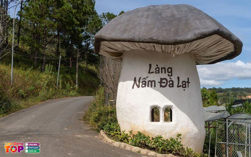 Trai-nghiem-tai-lang-nam-da-lat-diem-den-xanh-giua-pho-hoa-2