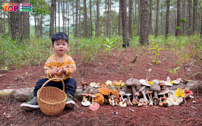 Trai-nghiem-tai-lang-nam-da-lat-diem-den-xanh-giua-pho-hoa-5