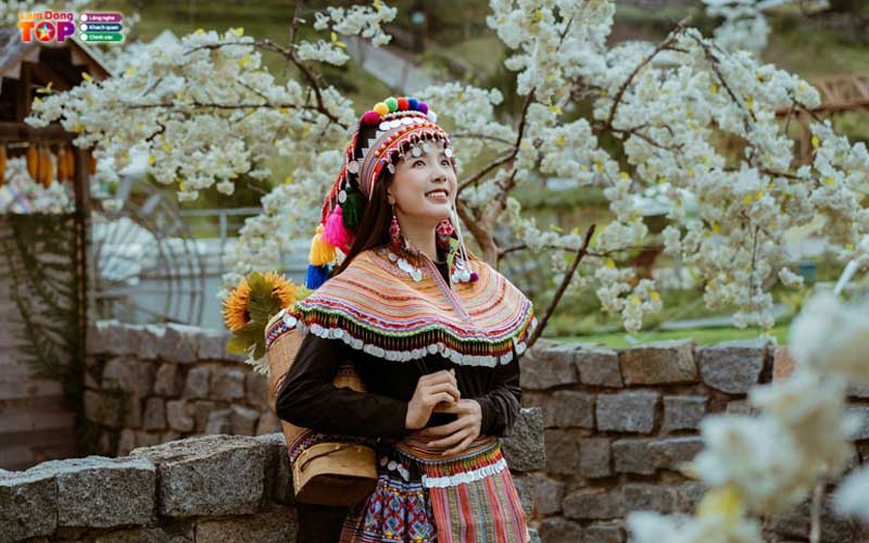 Dapa-hill-da-lat-lamdongtoplist-2