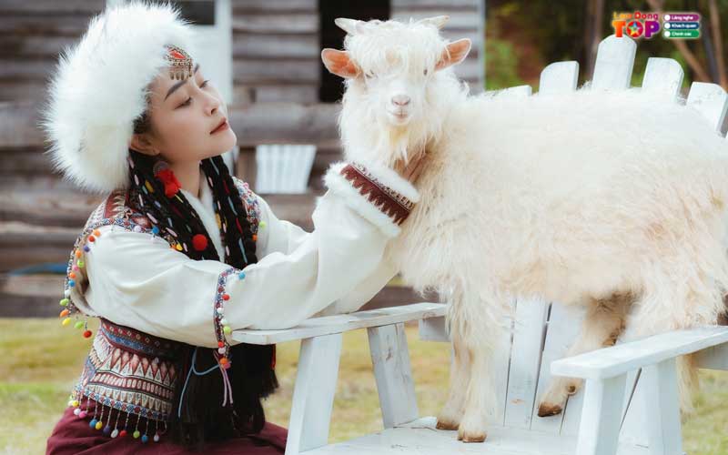 Dapa-hill-da-lat-lamdongtoplist-4