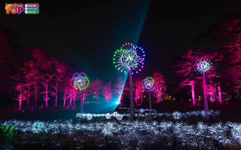 Delight-park-da-lat-1