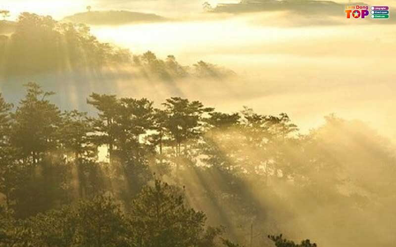 Dinh-hon-bo-da-lat-lamdongtoplist-2