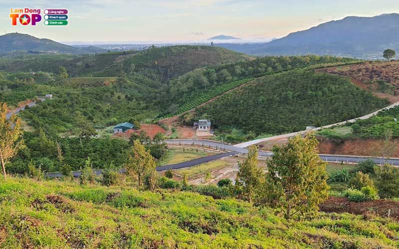 Doi-bat-up-bao-loc-4