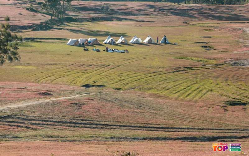 Doi-co-masara-lam-dong-3