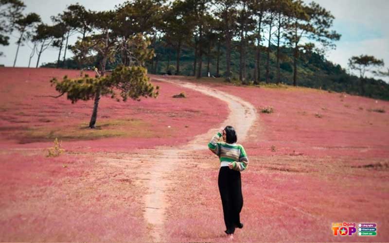 Doi-co-masara-lam-dong-4