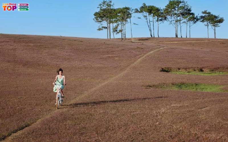 Doi-co-masara-lam-dong-lamdongtoplist