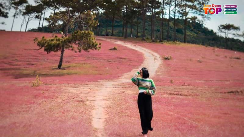 Doi-co-masara-lam-dong