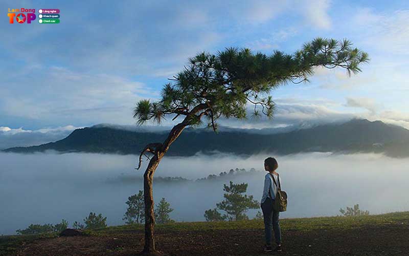 Doi-thien-phuc-duc-da-lat-thien-duong-san-may-sieu-hot-3