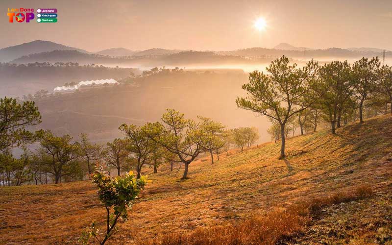 Doi-thien-phuc-duc-da-lat-thien-duong-san-may-sieu-hot-5