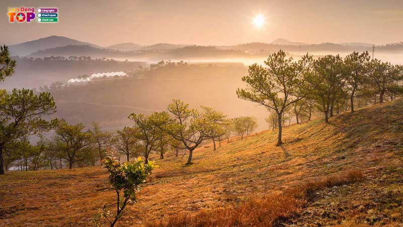 Doi-thien-phuc-duc-da-lat