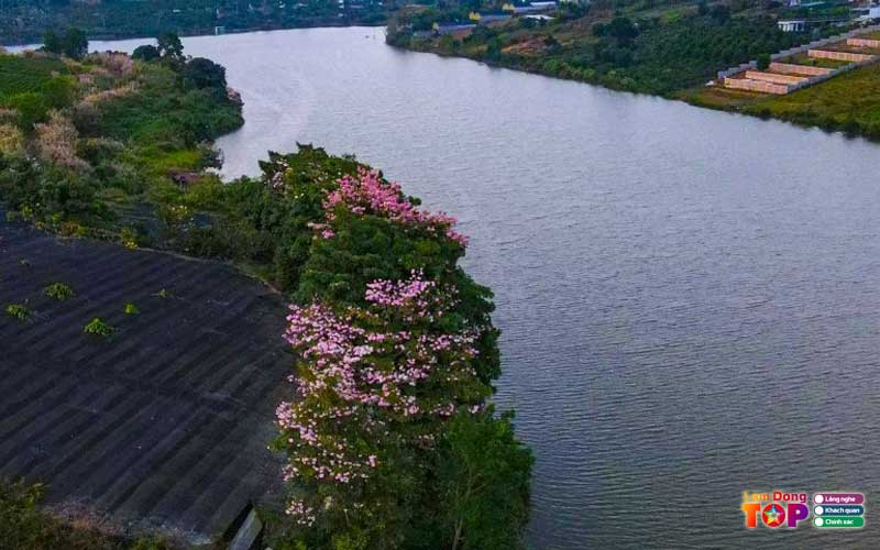 Ho-nam-phuong-bao-loc-4