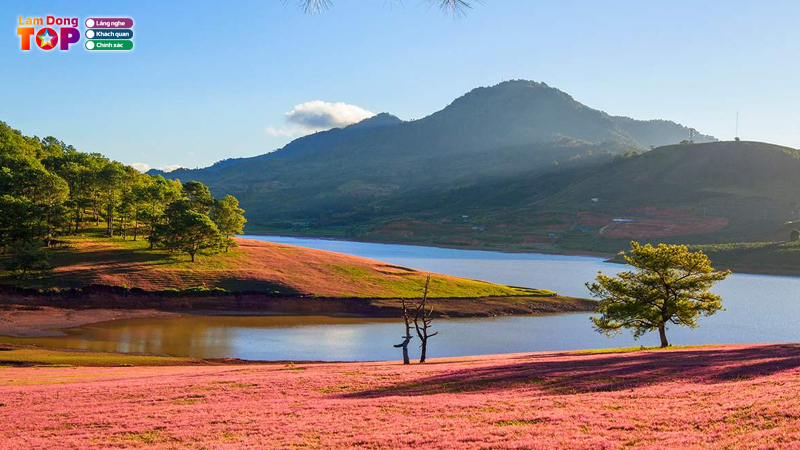 Ho-suoi-vang-noi-thoi-gian-ngung-troi-giua-long-cao-nguyen