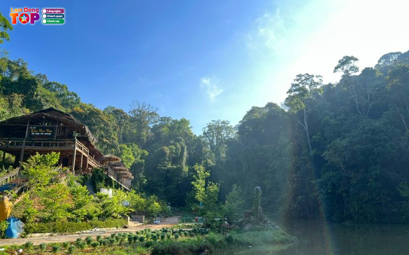 Hoa-son-dien-trang-da-lat-1