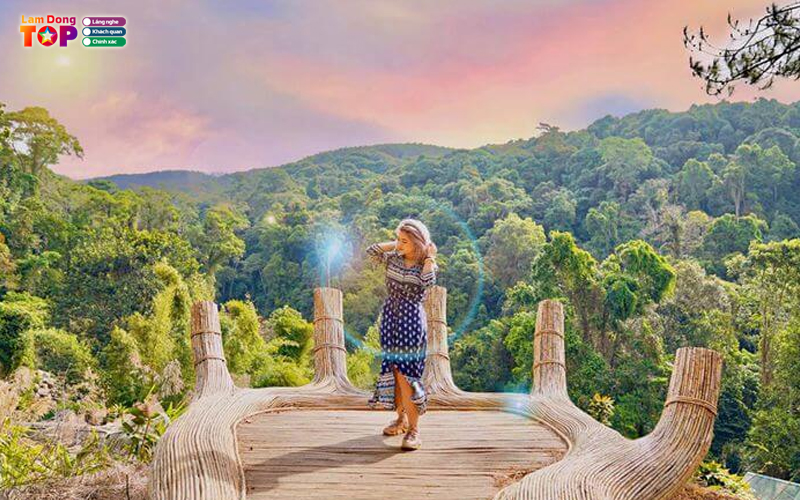 Hoa-son-dien-trang-da-lat-3